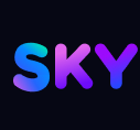 Sky-code - AI智能编程助手]