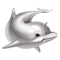 硅基智能 - 引领数字化创新浪潮]